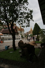 IMG_2943.JPG