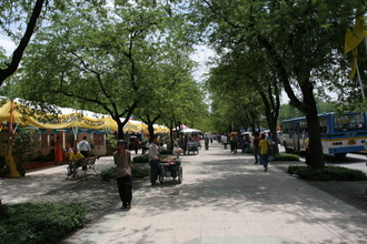 IMG_2979.JPG