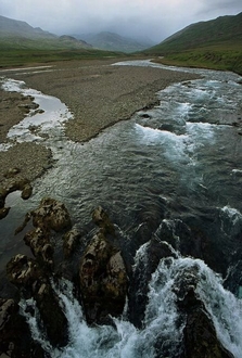 Island_260.jpg