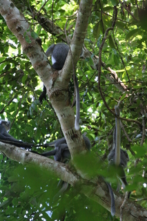 IMG_3710.JPG