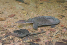 IMG_3769.JPG