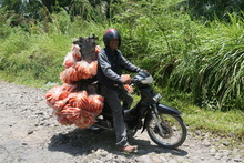 IMG_3826.JPG