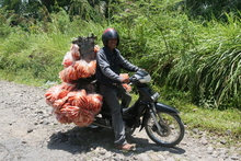 IMG_3826.JPG