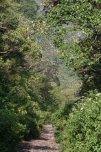 IMG_3884.JPG