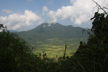 IMG_3889.JPG