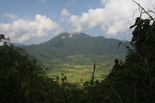 IMG_3889.JPG