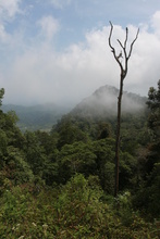IMG_3892.JPG