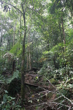 IMG_3922.JPG