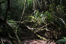 IMG_3947.JPG