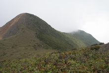 IMG_3970.JPG
