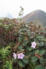IMG_3971.JPG