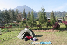 IMG_4016.JPG