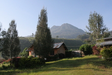 IMG_4021.JPG