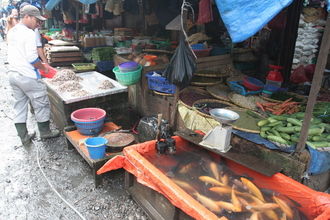 IMG_4182.JPG