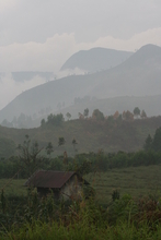 IMG_4225.JPG