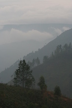 IMG_4234.JPG