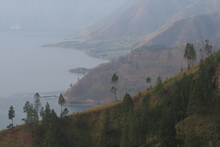 IMG_4245.JPG