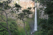 IMG_4250.JPG
