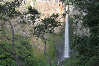 IMG_4250.JPG