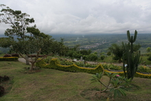 IMG_4331.JPG