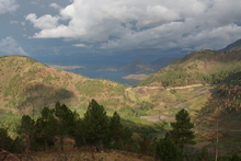 IMG_4410.JPG