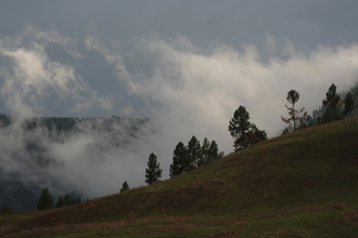 IMG_4423.JPG