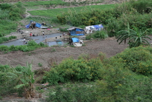 IMG_4428.JPG