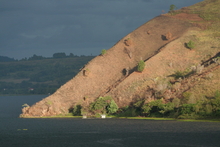 IMG_4430.JPG