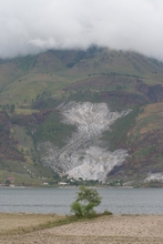 IMG_4445.JPG