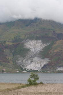 IMG_4445.JPG
