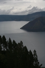 IMG_4563.JPG