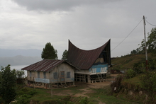 IMG_4572.JPG