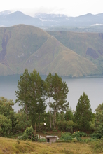 IMG_4576.JPG
