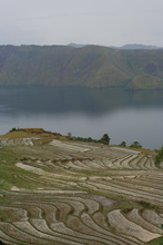 IMG_4622.JPG