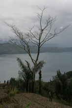 IMG_4635.JPG