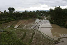IMG_4637.JPG