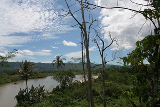 IMG_4697.JPG