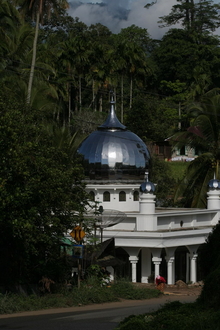 IMG_4802.JPG