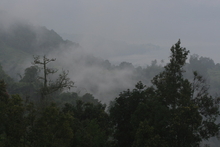 IMG_4981.JPG