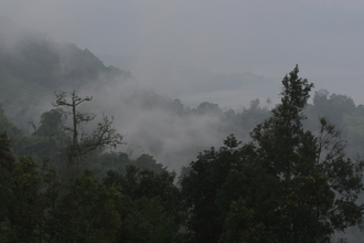 IMG_4981.JPG