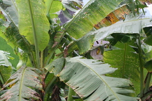 IMG_5005.JPG