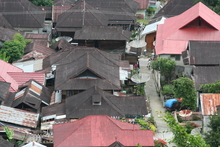 IMG_5046.JPG