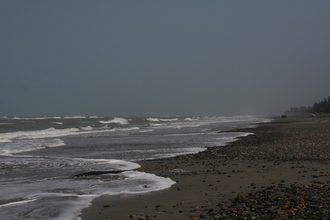 IMG_5274.JPG