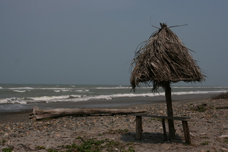 IMG_5279.JPG