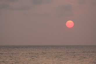 IMG_5461.JPG