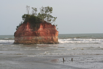 IMG_5586.JPG