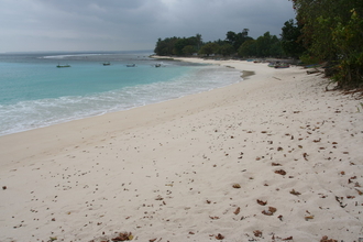 IMG_5658.JPG