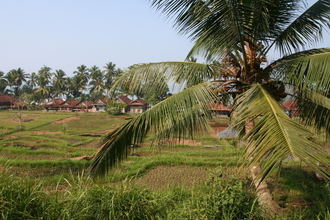 IMG_5668.JPG