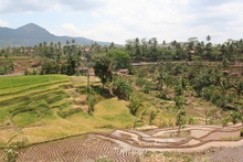 indonesia_5851.jpg