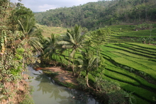 indonesia_5857.jpg